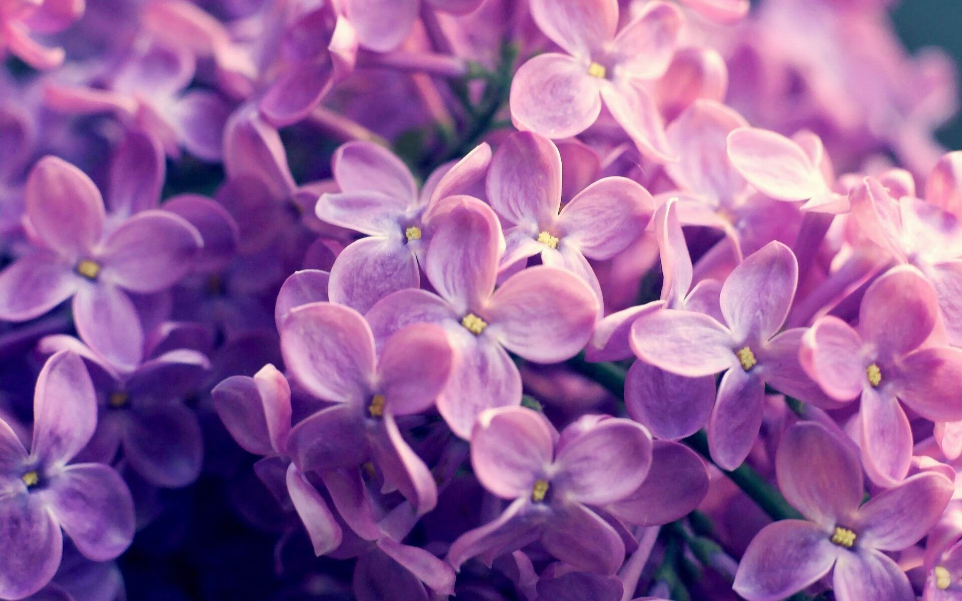 冰封逆转与熔岩奔涌，当冷静碾碎困局，以狂热刺穿宿命