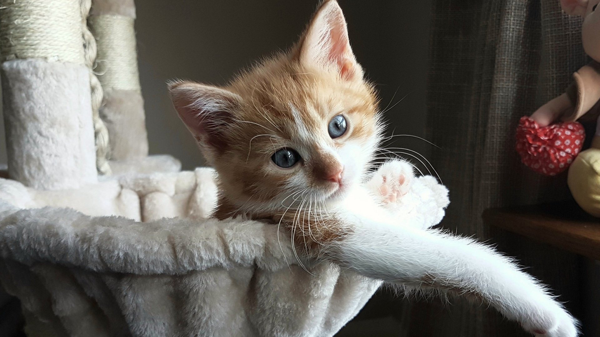 平行宇宙篮球战报，浙江队末节逆转掘金，郭艾伦跨维度刷新纪录