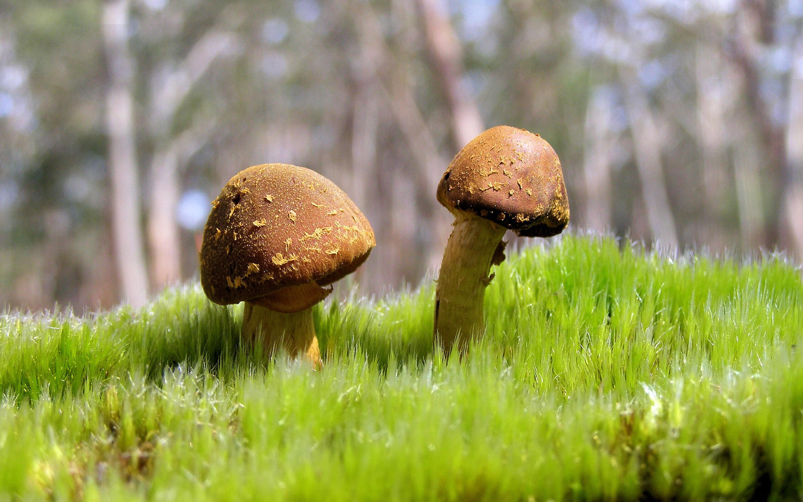 规则之上，横扫与点燃之间的永恒突破