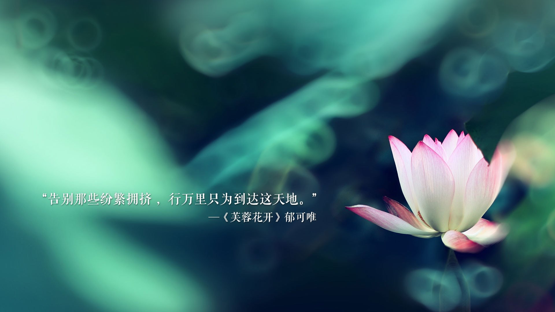 莱奥，喀麦隆的稳定器，安哥拉防线无解的难题