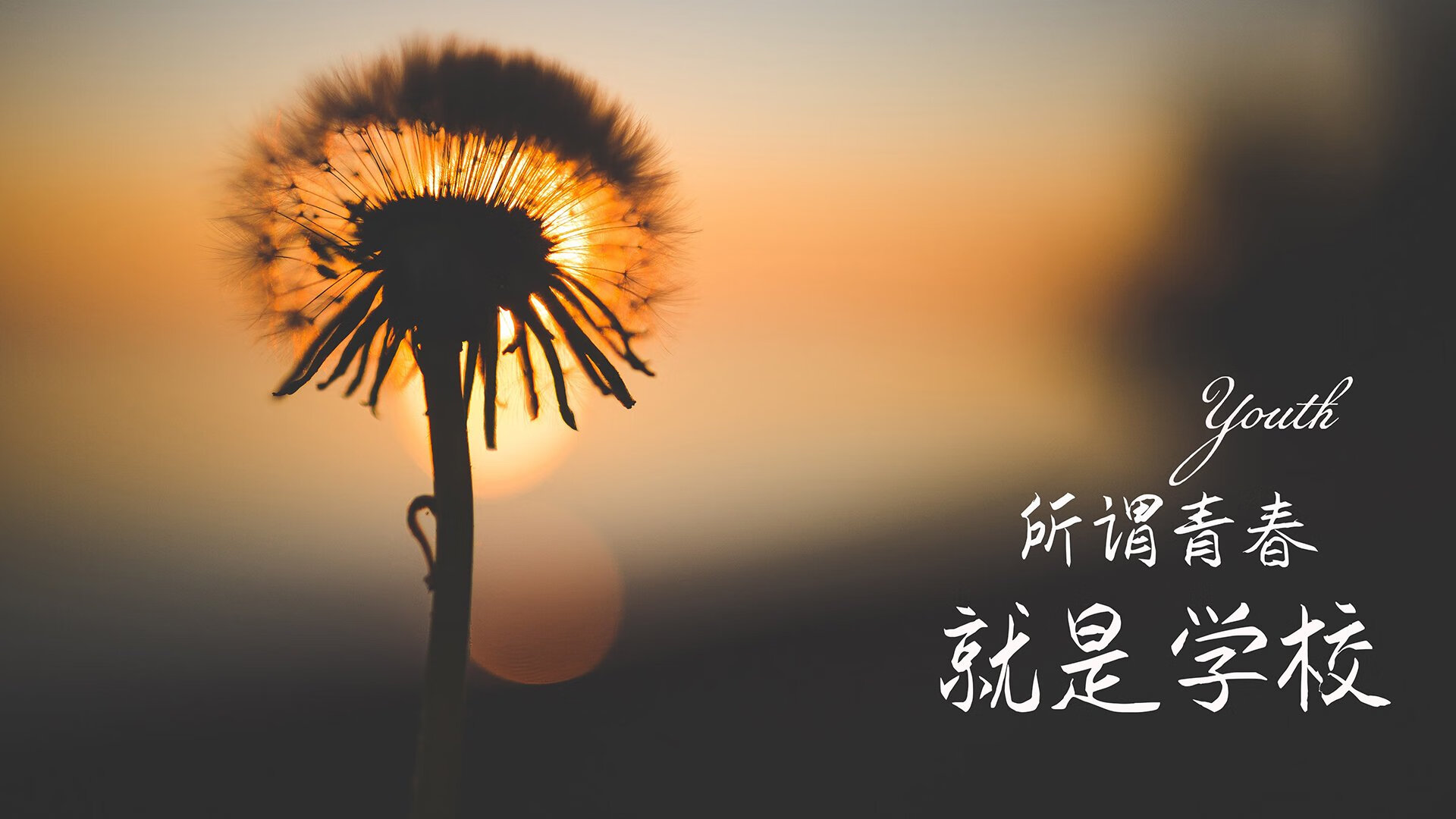 铁壁墨西哥，防守绞索下的佛罗伦萨与阿尔瓦雷斯的英雄时刻