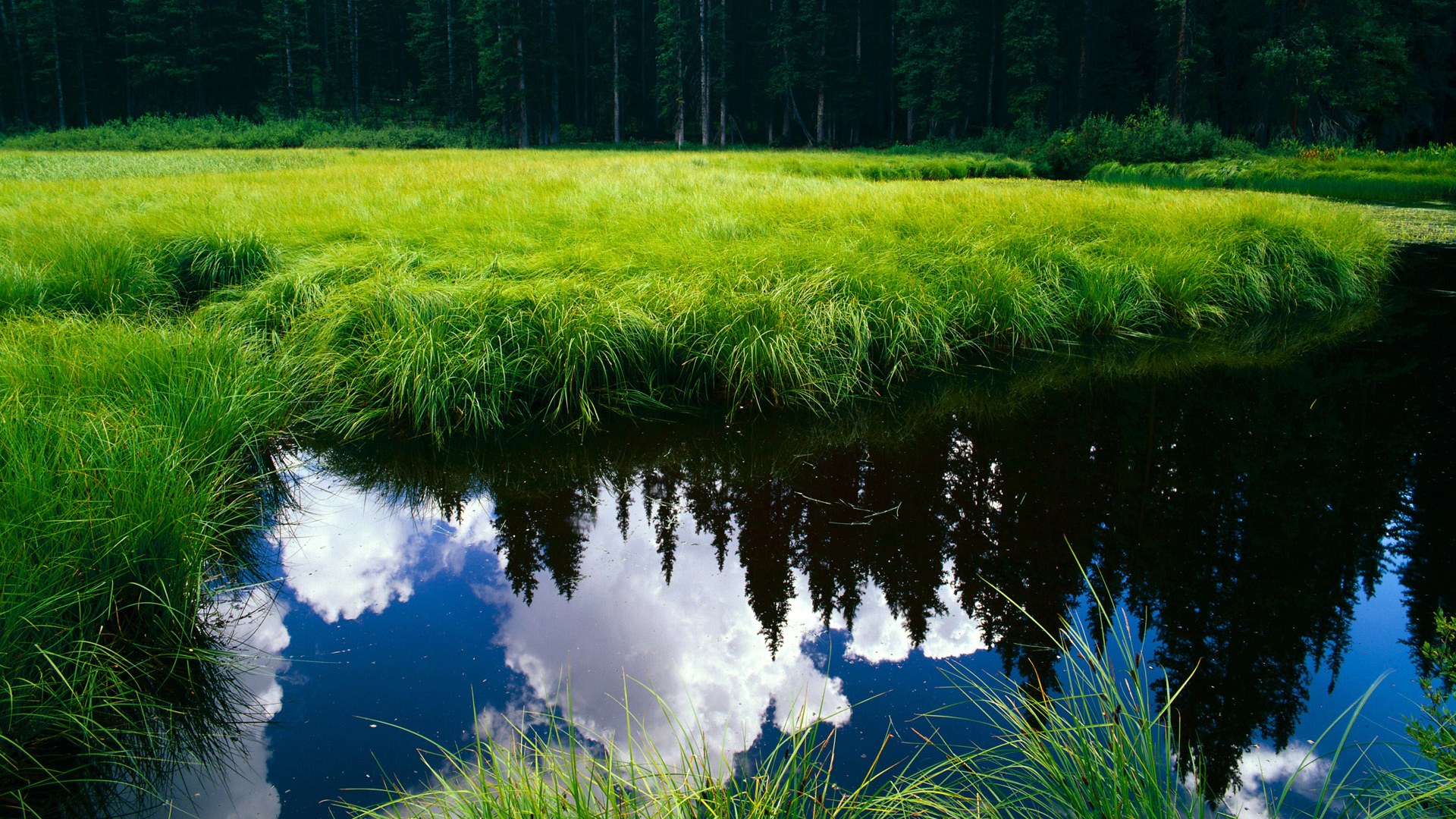数据之矛刺穿浪漫之盾—美加墨世界杯首现德国战车式完胜,莱比锡红牛4-0狂扫马赛启示录