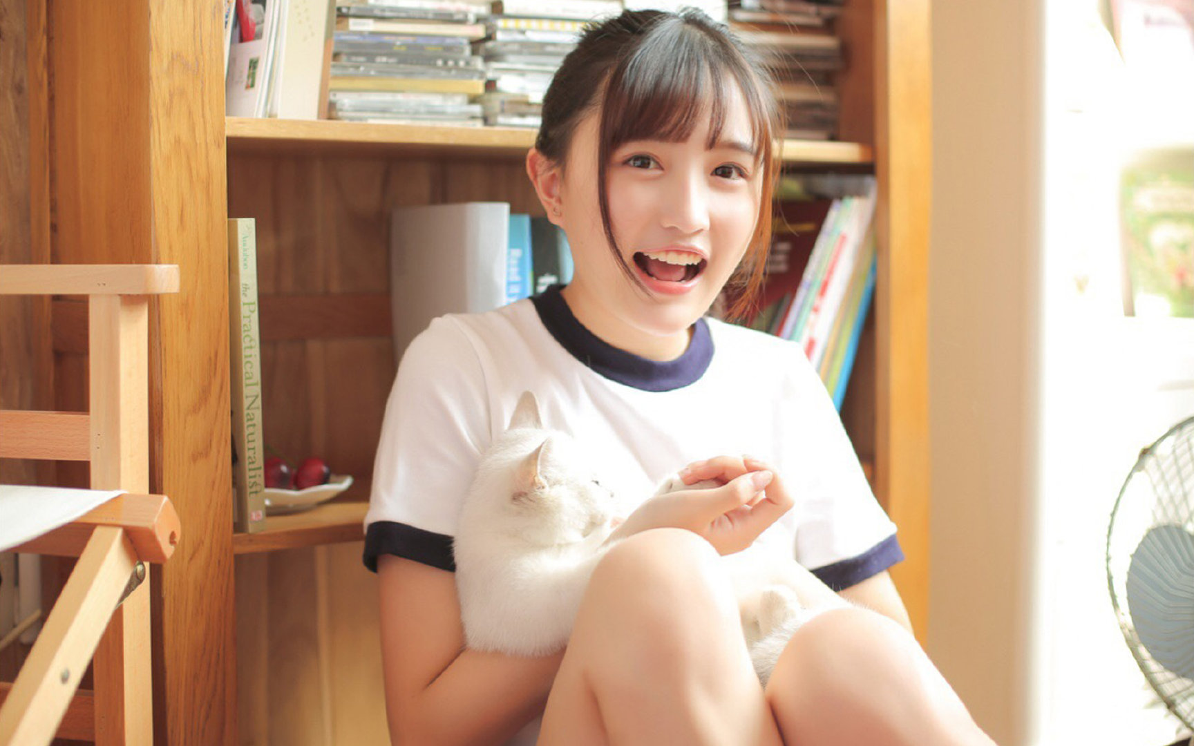 等待的艺术,从鹈鹕的战术蓝本到哈利伯顿的终极接管