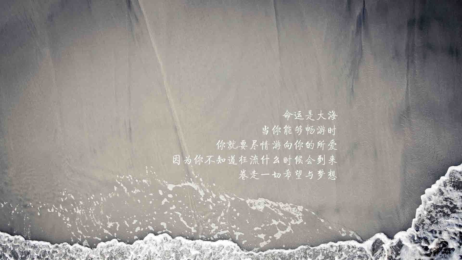镜面体育场，当深圳男篮在孟菲斯主场击溃灰熊