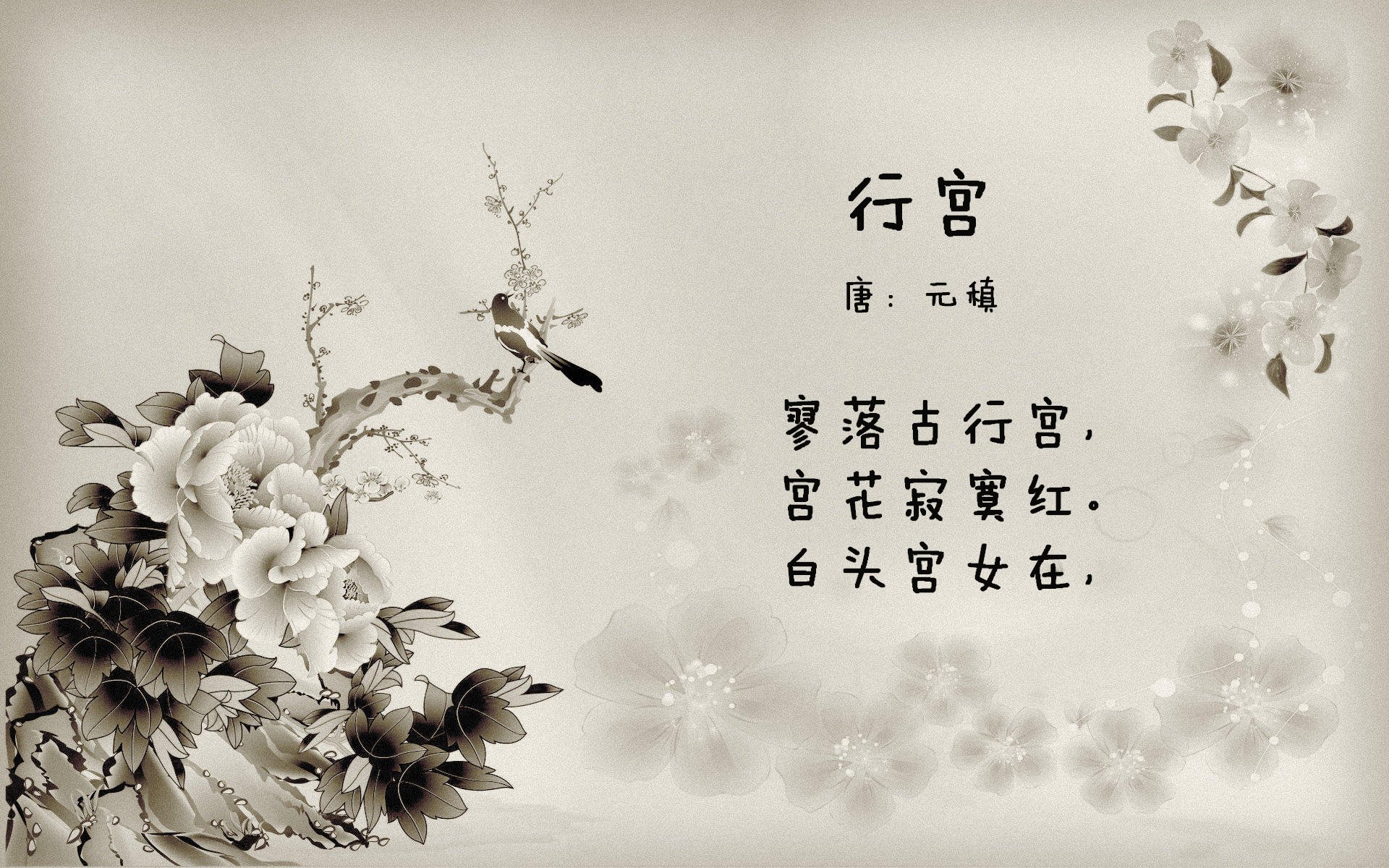 德黑兰之夜的蓝月亮,穆西亚拉如何在2026世界杯H组生死战中改写伊朗与斯洛伐克的宿命
