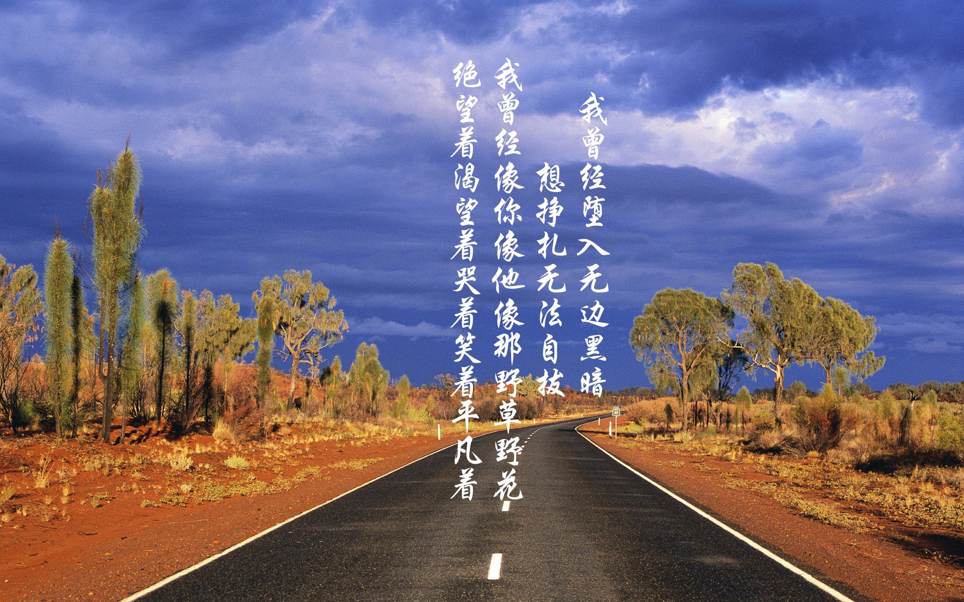 风从赤道来，当厄瓜多尔碾过郁金香，阿诺德的致命一击刺穿2026的世界秩序