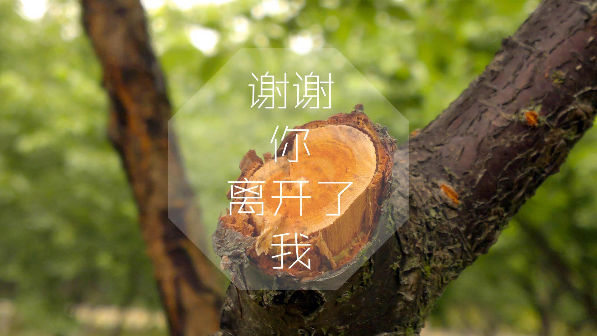 慕尼黑暗战，当德国战车陷入泥沼，托纳利的意大利心脏如何在C组关键战中用防守反击刺穿钢铁防线