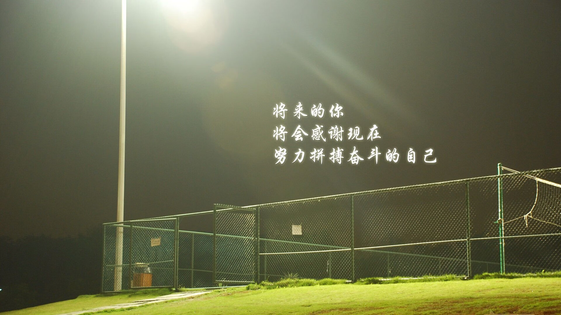 多哈之夜,黑马奔腾,哈基米导演的闪电战与保加利亚的冷血反击