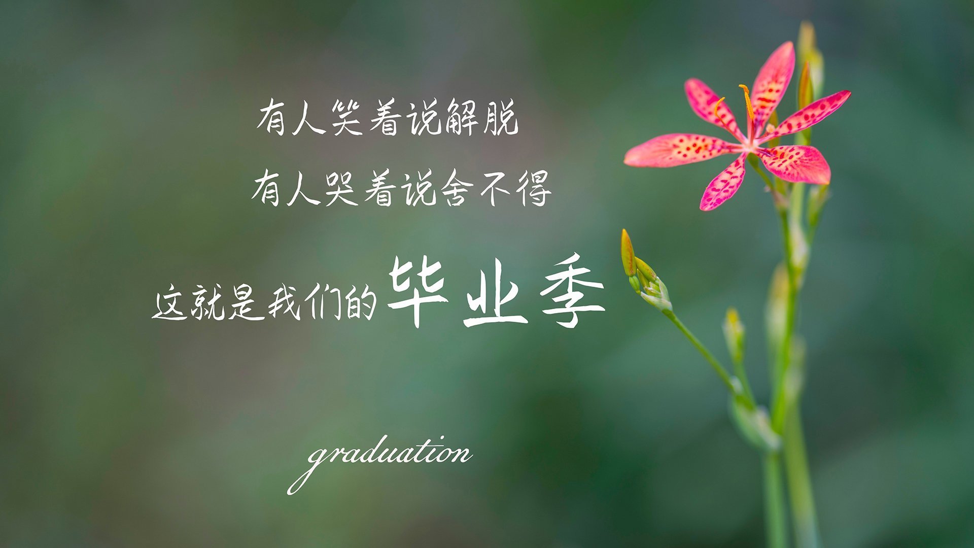 里斯本之夜,当C罗的沉默被孙兴慜的闪电撕裂,葡萄牙的黄金一代何以沦为最大配角?